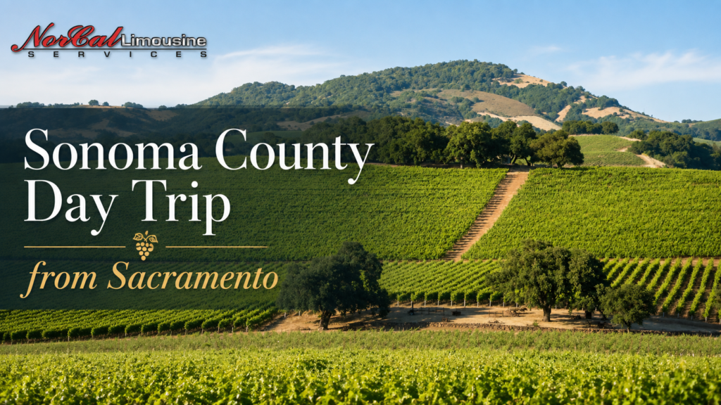 sonoma country